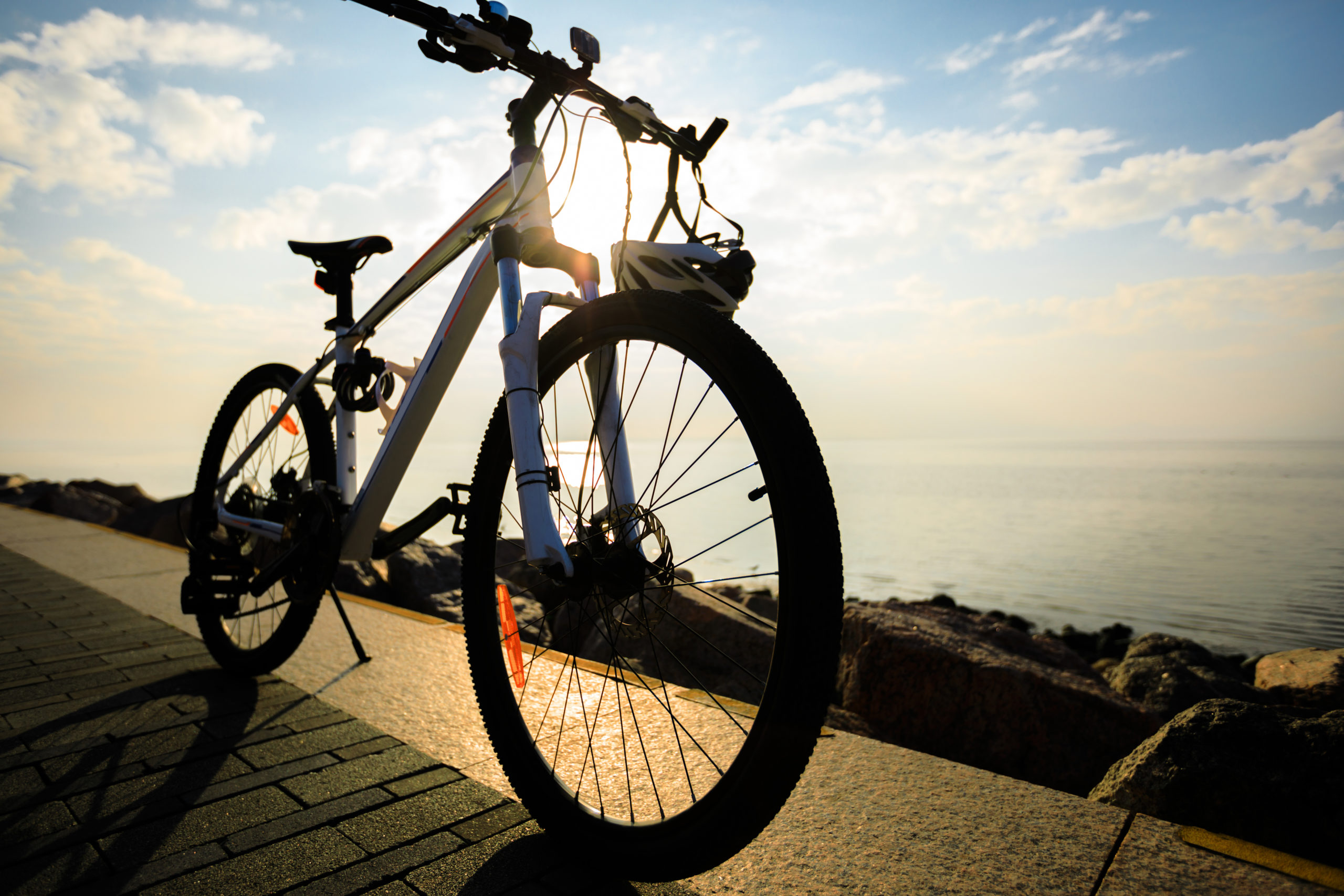 CITY BIKE / VTT